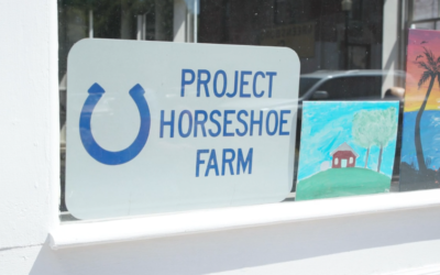 Project Horseshoe Farm