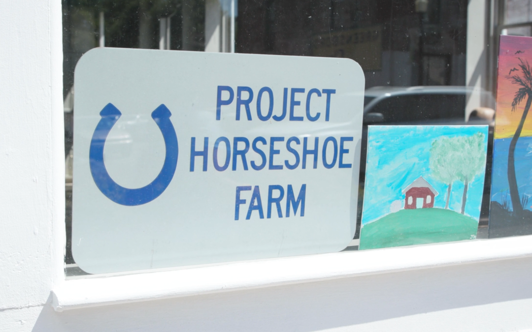 Project Horseshoe Farm Fellows Visit: 2023